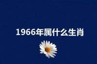 1966年生肖|1966年属什么生肖